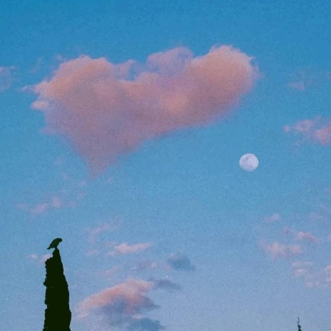 Love in the Sky