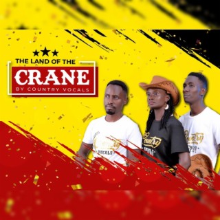 Land of the crane