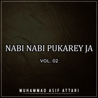 Nabi Nabi Pukarey Ja, Vol. 02