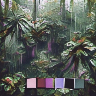 Rainforest