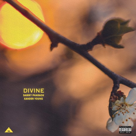 Divine ft. Xander Young | Boomplay Music