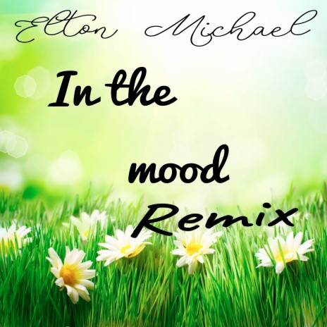 In the Mood (Remix)