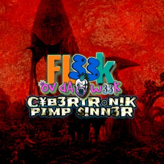 FL33k Ov dA w33K: CyB3RtRon!K pimp $!nn3R