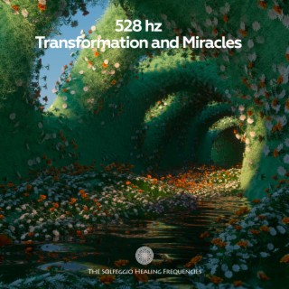 528Hz Transformation and Miracles
