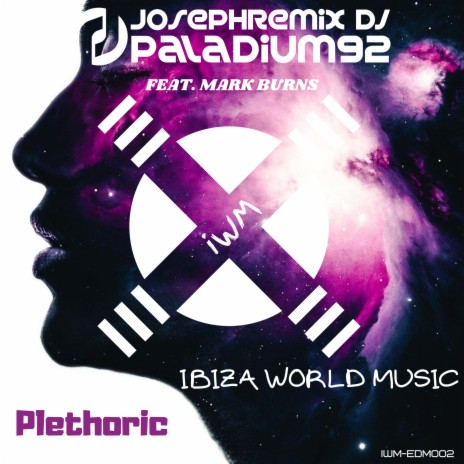 Plethoric (Vocal Mix) ft. Mark Burns & Paladium92 | Boomplay Music