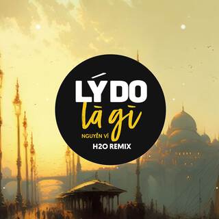 Lý Do Là Gì (Remix EDM) ft. Nguyễn Vĩ lyrics | Boomplay Music