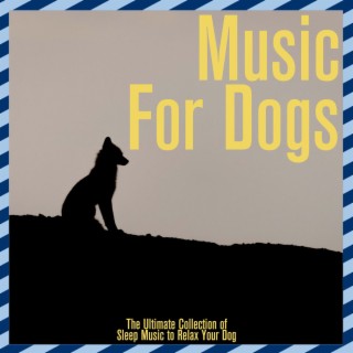 The Ultimate Collection of Sleep Music to Relax Your Dog