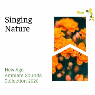 Singing Nature - New Age Ambient Sounds Collection 2020