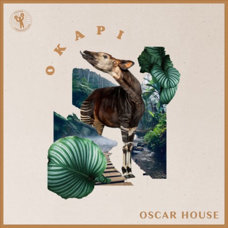 Okapi | Boomplay Music