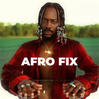 Afro Fix