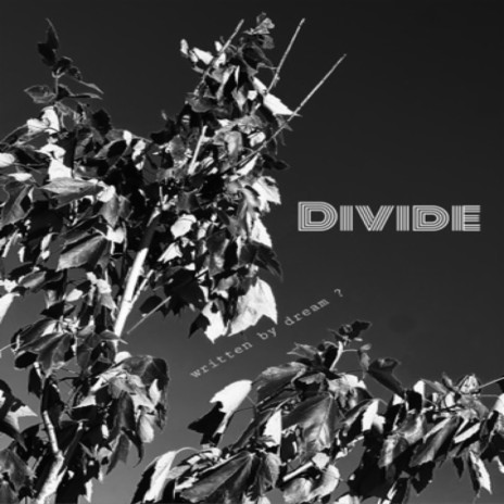 Divide