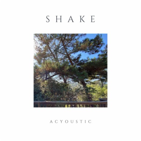 Shake | Boomplay Music