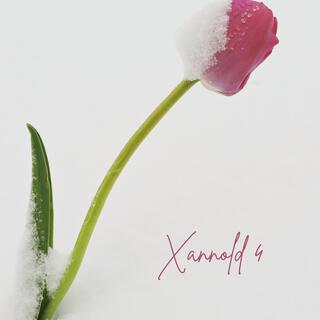 Xannold 4