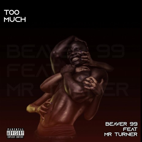 Too Much (feat. Mr Turner)