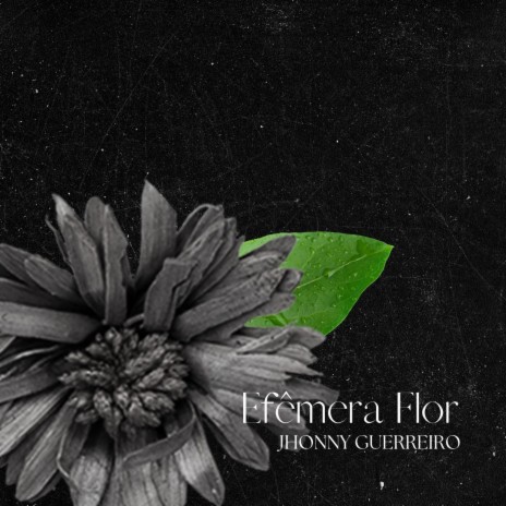 Efêmera Flor | Boomplay Music