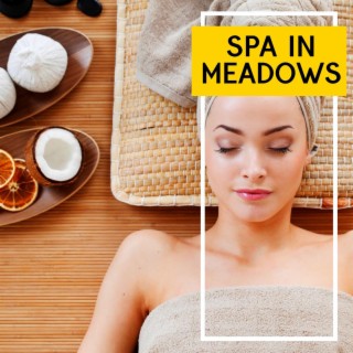 Spa in Meadows