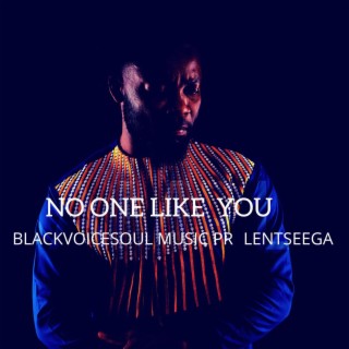 NO ONE LIKE YOU lyrics | Boomplay Music