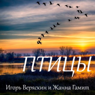 Птицы