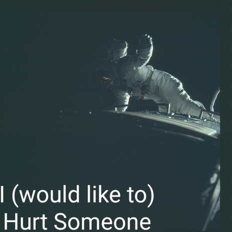 I Would Like to Hurt Someone | Boomplay Music