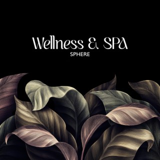 Wellness & SPA Sphere: Heavenly Music for Relaxation the Entire Body, Enjoying Treatments, Getting Lost In The Pleasure