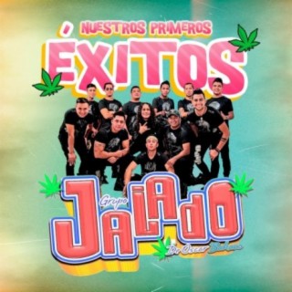 Nuestros Primeros Exitos