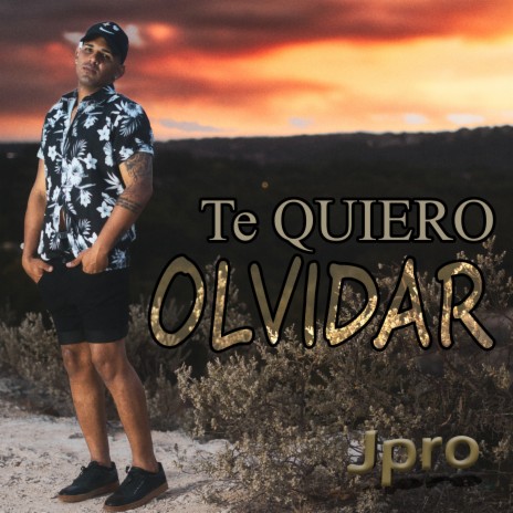 TE QUIERO OLVIDAR | Boomplay Music