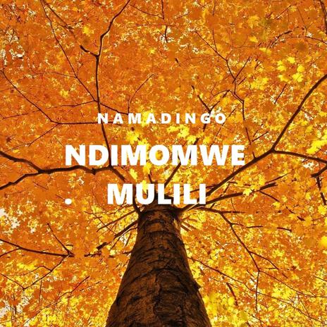 Ndimomwe mulili | Boomplay Music