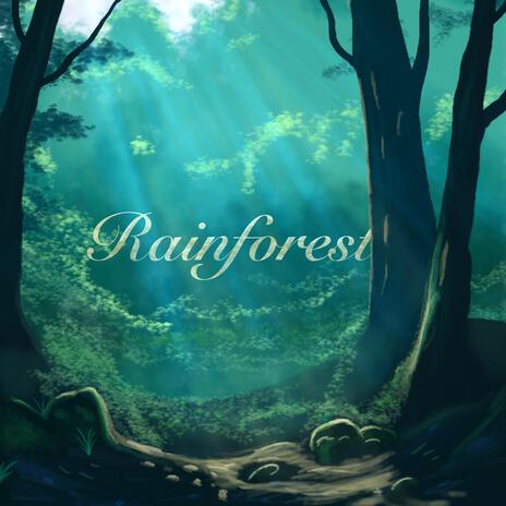 Rainforest | Boomplay Music