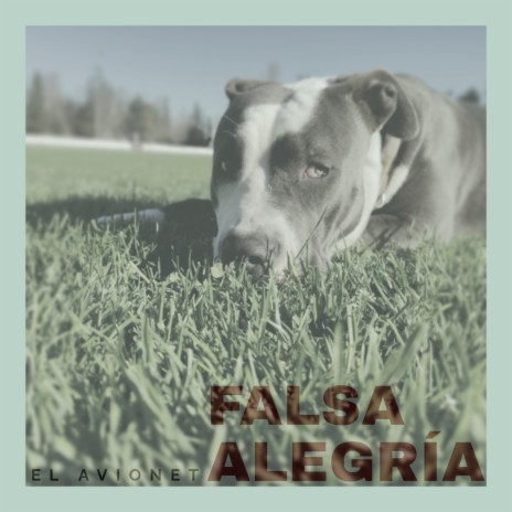 Falsa Alegría | Boomplay Music