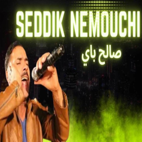 Seddik Nemouchi 2023 Saleh Bey | Boomplay Music