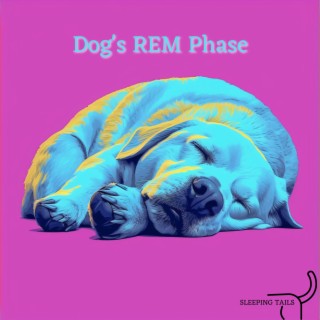 Dog's REM Phase