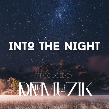 Into The Night | Boomplay Music