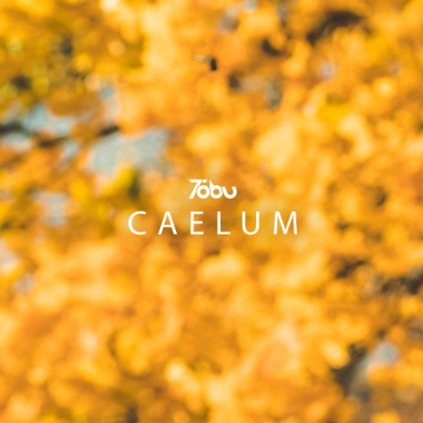 Caelum | Boomplay Music