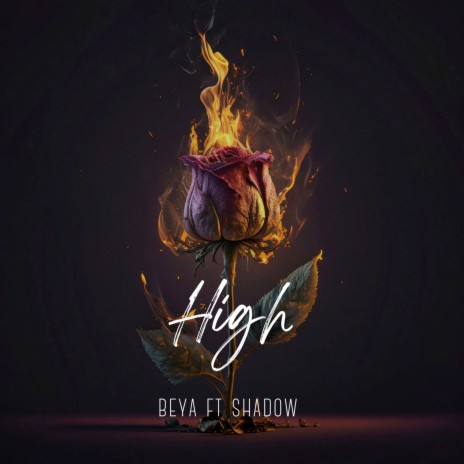 High ft. SHADOW | Boomplay Music