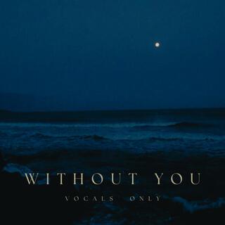 Without You