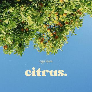 Citrus lyrics | Boomplay Music