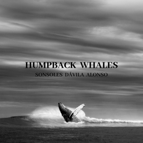 Humpback Whales