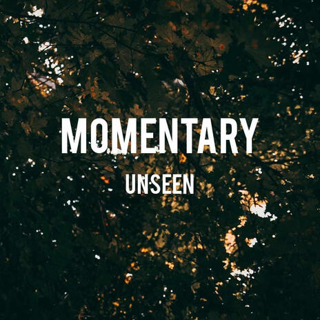 Unseen x | Boomplay Music