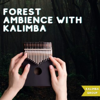 Forest Ambience with Kalimba