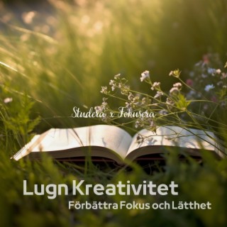 Lugn Kreativitet: Förbättra Fokus och Lätthet