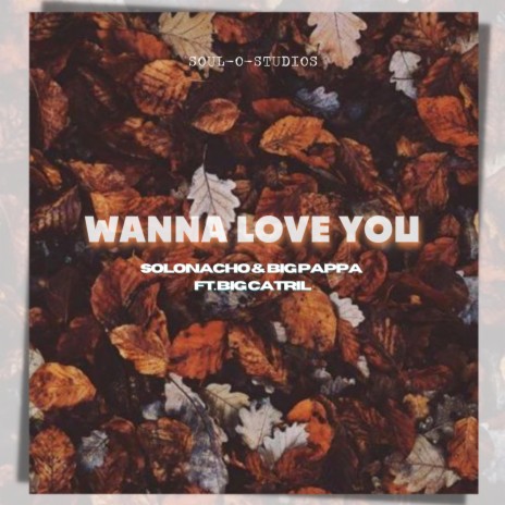 Wanna Lov U ft. Big pappa & Bigcatril | Boomplay Music