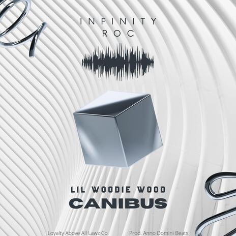 Infinity Roc ft. Canibus | Boomplay Music