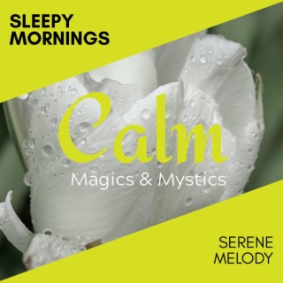 Sleepy Mornings - Serene Melody