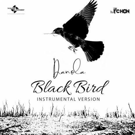 Black Bird (Instrumental Version) | Boomplay Music