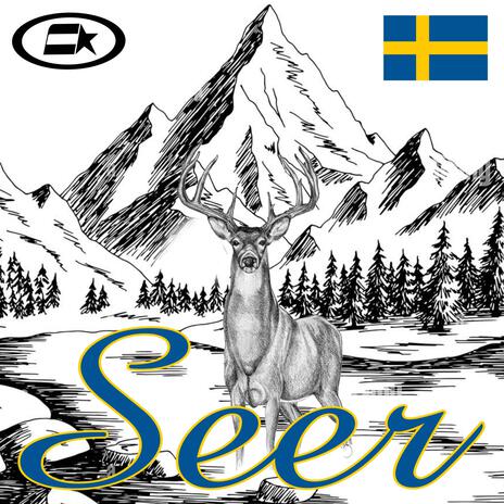 Seer