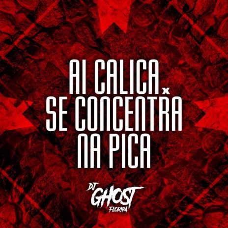 Ai Calica X Se Concentra Na Pica (Arrocha Funk) | Boomplay Music