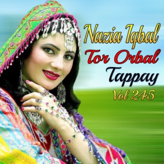 Tor Orbal Tappay, Vol. 245