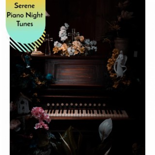 Serene Piano Night Tunes