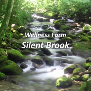 Silent Brook