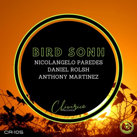 Bird Sonh ft. Daniel Rolsh & Anthony Martinez | Boomplay Music
